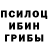 Галлюциногенные грибы мухоморы Baki MC
