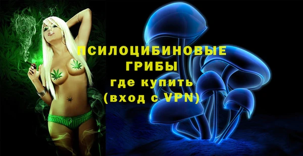 герыч Абаза